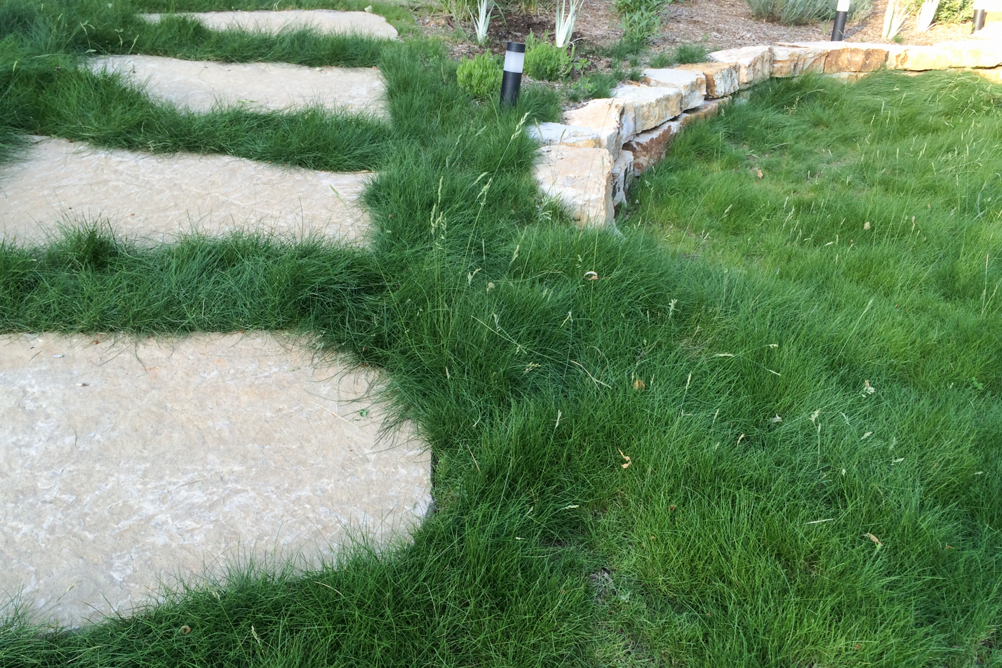 Low Maintenance Reno